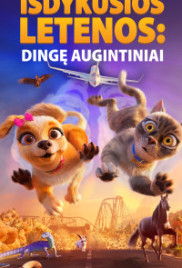 Išdykusios letenos. Dingę augintiniai