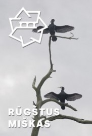 KP19: Rūgštus miškas